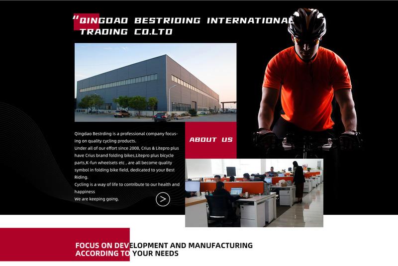 Verified China supplier - Qingdao Bestriding International Trading co.Ltd