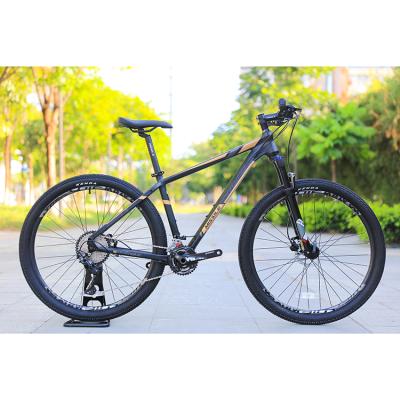 China Mountain Bike 22 29 Inch Cross Country Speed ​​Aluminum Cross Country Foldable Mountain Bike For Women for sale