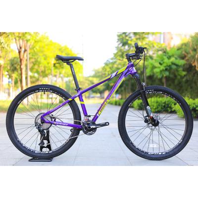 China Aluminum alloy mountain bike mountain bike e-bike aluminum alloy foldable mountain bike for sale