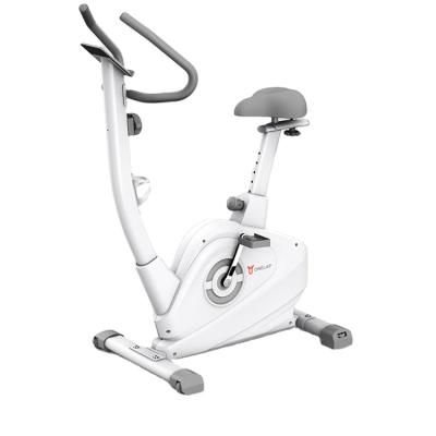 China Home Indoor Exercise Body Fitness Sporting Goods Gym Home Supply Manufacturer Smart Spinning Bike for sale