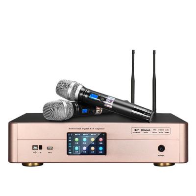 China Mini System 3 in 1 Family Amplifier Wireless Microphone Power Amplifier with Audio Processor for sale