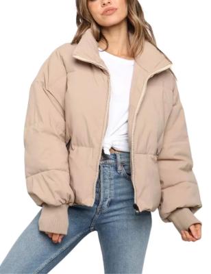 China Ladies Breathable High Quality Zipper Sleeve Stand Collar Long Winter Shorts Down Jacket for sale