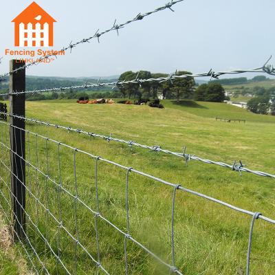 China Factory Direct Sale Easily Assembled Hot Dipped Galvanized Farm Fence for sale