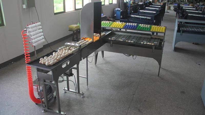 Verified China supplier - Shenzhen Zenyer Egg Machinery Co., Ltd.