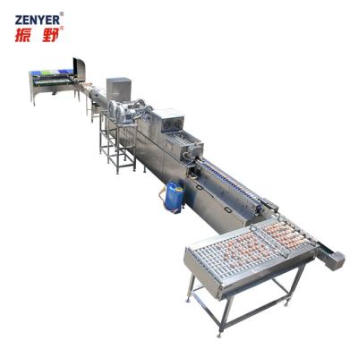 China Meat Processing Plants Fresh Chicken Egg Stamping Machine Egg Washing Grading Processing Equipment With Detector for sale