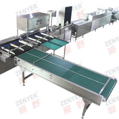 China Egg developing machine egg brush seal matching sterilization machine automatic egg oiling washing machine for sale