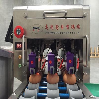 China Hotels 3 Tiers Egg Printing Machine Logo Stamping Machine Egg Machine for sale