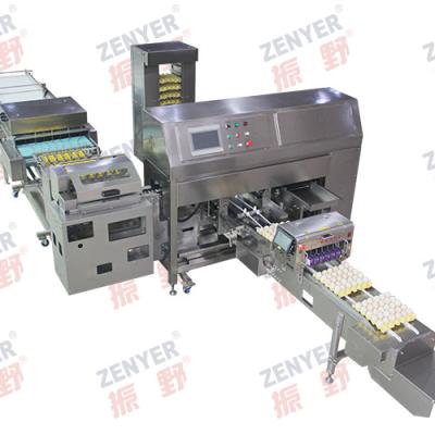 China Zenyer egg processing machine launched new product farm packaging machine price good in 2022 for sale for sale