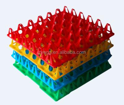 China Plastic Egg Trays for sale