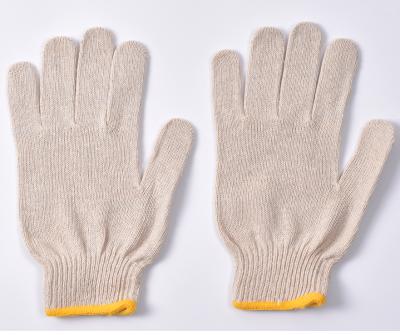 China 7 Gauge Non Slip Universal Different Colors Breathable Lady White Cotton Gloves for sale