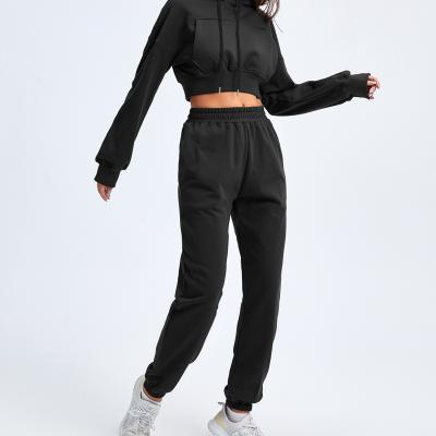 China New Arrival Autumn Two Sport Women Sets Breathable Jogger Suits Long Sleeve Hoodies Set Of Sets for sale