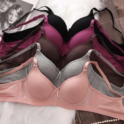 China QUICK DRY Fashion Fitted Push Up Bralette Seamless Female Soft Wire Free A B Cup Underwear Women Bra for sale