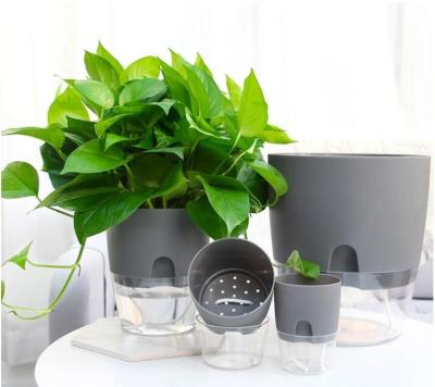 China Modern Self Planter Flower Pot Self Watering Creative Plastic Transparent Lazy Pot Water Absorbing Pots for sale