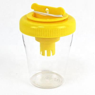 China 2021 Disposable New Indoor Outdoor Hanging Clear Bottle Insect Fly Trap for sale