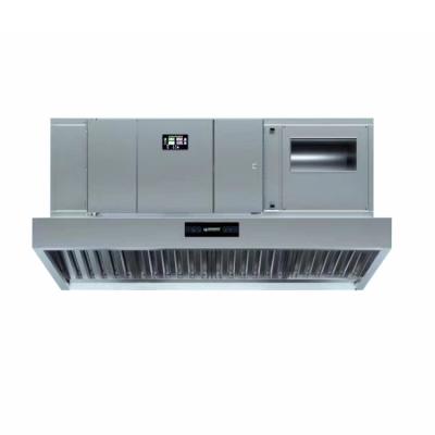 China Hotel Ventilation Kitchen 95% Removal Rate Commercial Exhaust System Range Hood ESP for sale