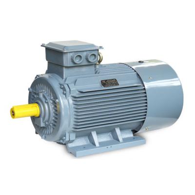 China YE2 Series High Efficiency Three Phase Asynchronous Motor YE2 for sale