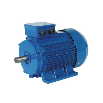 China IP54 YE2 Series High Efficiency Fan Motor Three Phase Asynchronous Motor for sale