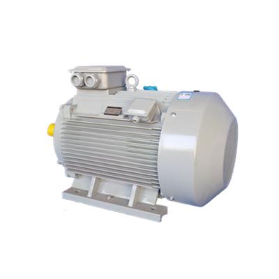 China YE2 Series Waterproof Aluminum Shell Three Phase Asynchronous Motor AC Electric Motor for sale