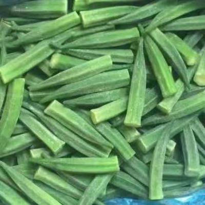 China IQF Okra Whole or Jelly Cut Okra JELLY in Frozen Vegetables for sale