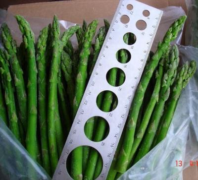 China IQF FROZEN High Quality Green Frozen Asparagus for sale