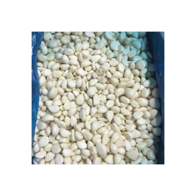 China Wholesale fresh peeled garlic cloves cloves frozen frozen fresh garlic price for sale