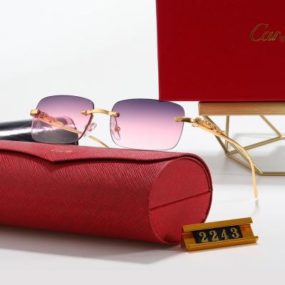 China 2022 Fashion Sunglasses Light Shade Sunglasses Designer New Rimless Small Shade Polarized Sunglasses Women Men for sale