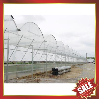 China Hollow polycarbonate sheet for greenhouse,conservatory for sale