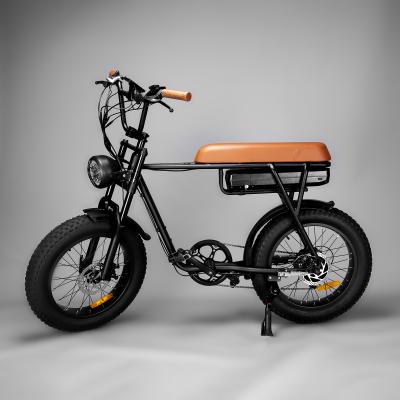 China Aluminum alloy new design 48V 750W 12.5ah offroad city electric bicycle e bike for adults US EU warehouse for sale