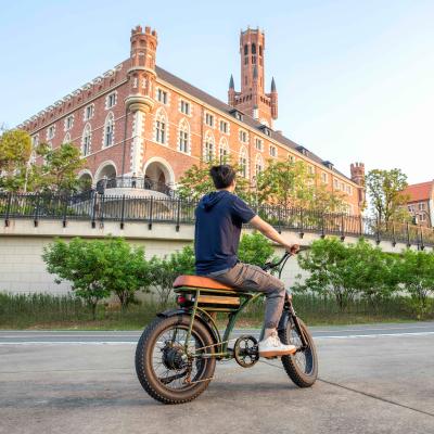 China New Powerful Electric Mountain Bike EB1 7GB Aluminum Alloy Model Off Road Retro Electric Bike Electric Bicycle for sale