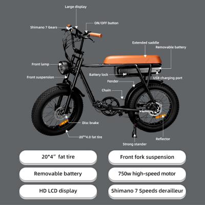 China Aluminum Alloy Electric Bike 48V 750W Electric Bike EU USA Warehouse Drop Shipping Fat Off Road Electric Bike Mountain For Adult for sale