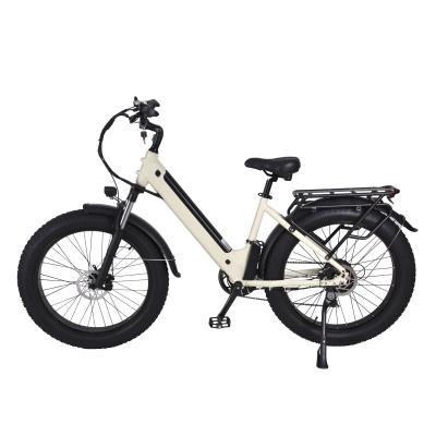 China Aluminum alloy fat tire mountain electric bicycle for factory direct sales battery lithium battery removable electric bike e-bike for sale