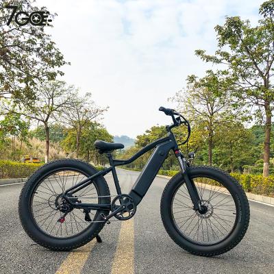 China 2022 New Model Battery Electric Mountain Bike Adult Demountable Tire Electric Bike E-Bike E-Bike High Speed for sale