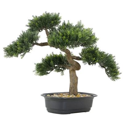 China Environmental Cheap Wholesale Artificial Mini Japanese Pine Bonsai Cypress Potted For Indoor Home Decor for sale