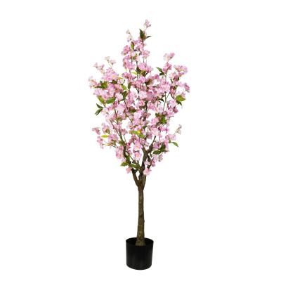 China Fake Beauty Cherry Blossom Tree Plastic 5ft Pink Environmental Flower Indoor Room Decor for sale