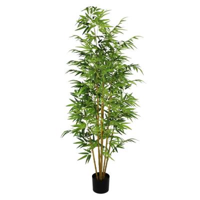 China 2M Large Environmental Artificial Bamboo Tree For Outdoor Garden Decor for sale