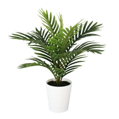 China Mini Environmental Faux Palm PE Leaf With White Basin For Office Decor for sale