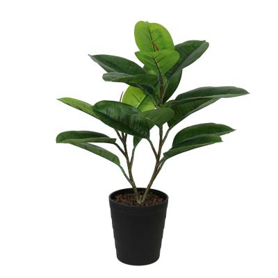 China Environmental Realistic Looking 55cm Small Potted Fake Ficus Rubber Plant for sale