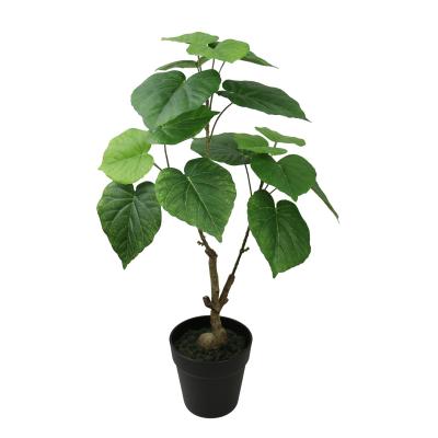 China Environmental medium mini ficus umbellata sale plant pruning fake tree for home furnishing for sale