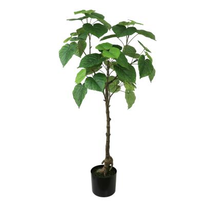 China Environmental high quality cheap price green ficus tree umbellata lyrata tree 102cm for sale