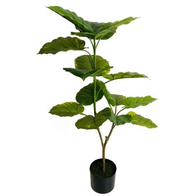 China Ambient in best selling price last design natural ficus rumpii bonsai artificial tree for home decor for sale