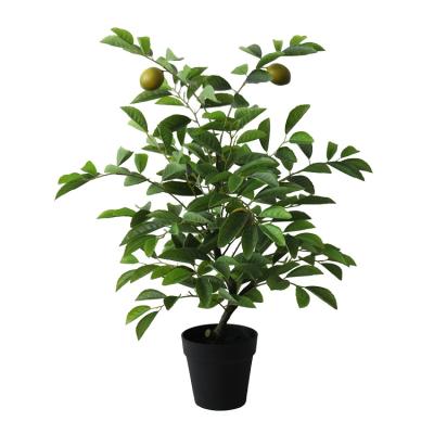 China Realistic Environmental Look Dongguan Factory Supply For Home Decor Artificial Lemon Tree Bonsai for sale