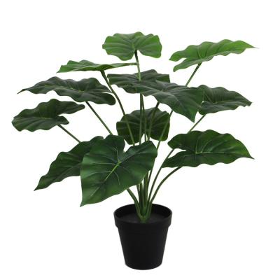 China Natural Touch Artificial Plant 45 cm Real Touch Artificial Taro Bonsai for sale