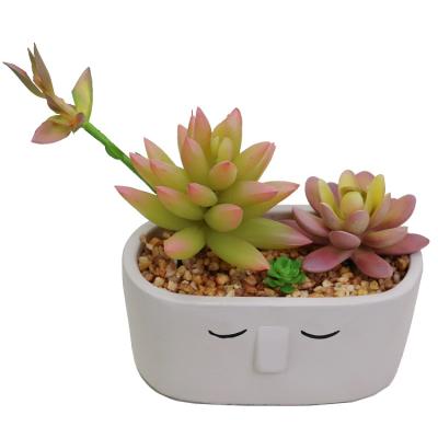 China Wholesale Environmental Mini Indoor Office Decoration Fake Succulents Artificial Plants for sale