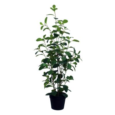 China Factory Environmental Hot Selling Artificial Watercress Potted Plant for sale