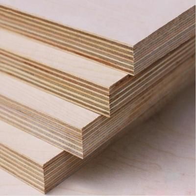 China Modern Birch Veneer Good Quality Full Birch Plywood Plywood for sale