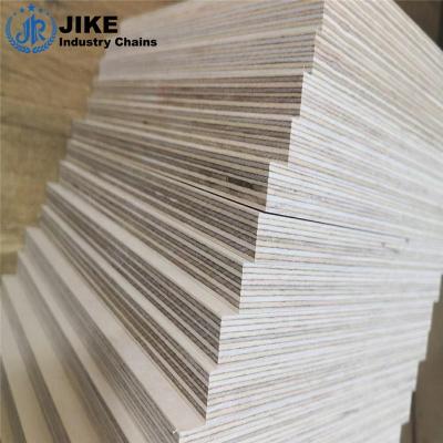 China Modern BB / BB Grade Full Birch Plywood For Furniture Use for sale