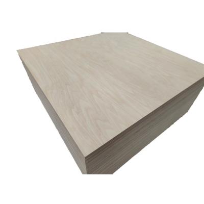 China Modern basswood birch plywood for laser cutting 3mm for sale