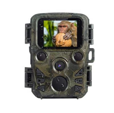 China Wireless System WiFi 4K Game 3.6mm Lens Trail Hunting Camera For Hunting Night Vision 1600W Waterproof Hunting Trail Camera for sale