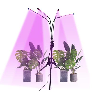 China Manufacturerdirectly Sale 4 Heads Floor-standing 24W 80 LED Led Grow Light Plant Indoor Plants Grow Light Led Indoor Plant for sale