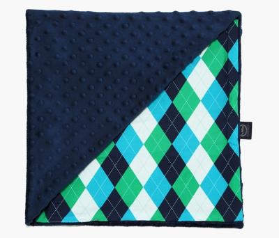 China Anti-Static Wholesale Colorful Soft Minky Fabric Adult Minky Blanket for sale